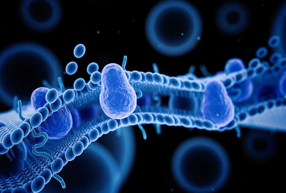Biodisponibilità, gli ostacoli da superare. Gli esempi di glutatione e resveratrolo